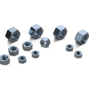 PORCAS | ISABEL BLOCOS