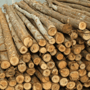 PONTALETE | ISABEL BLOCOS