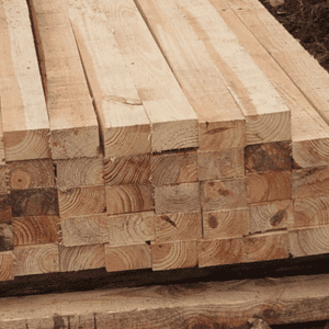 SARRAFO | ISABEL BLOCOS