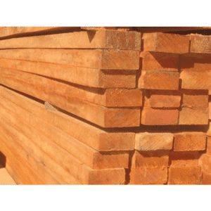 VIGA | ISABEL BLOCOS